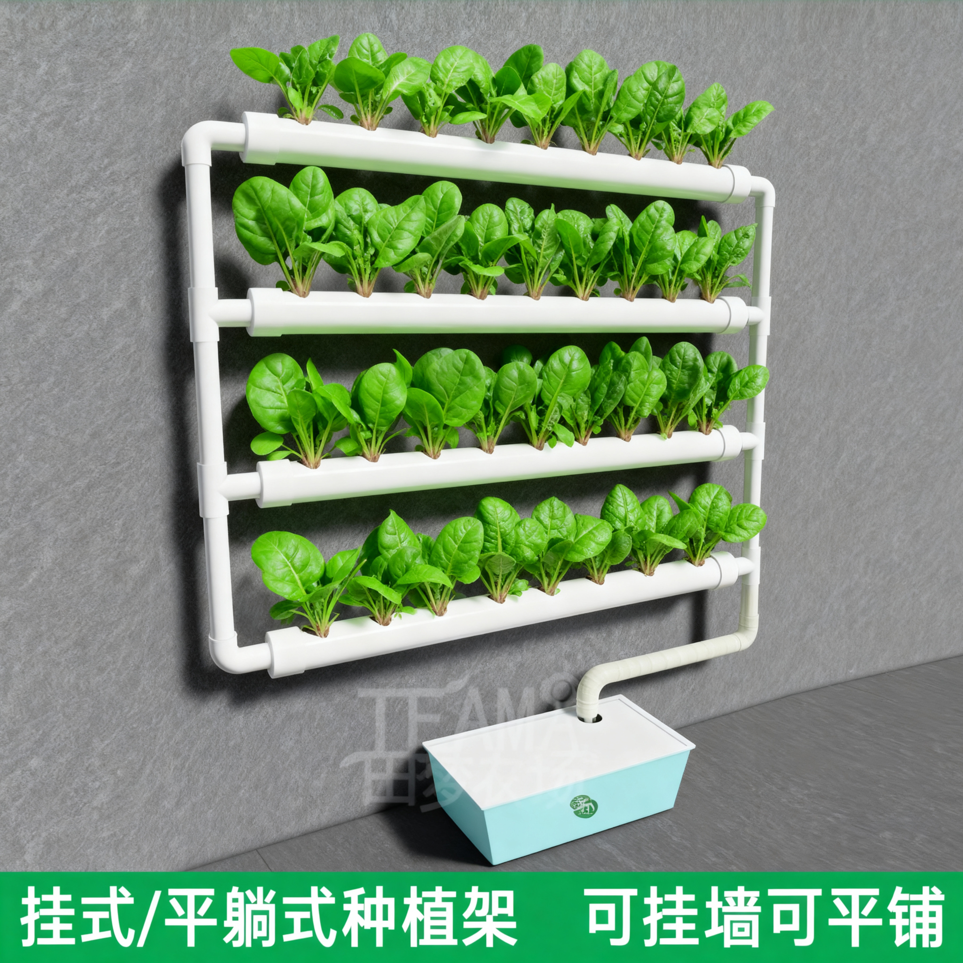 壁挂式无土栽培水培种植神器