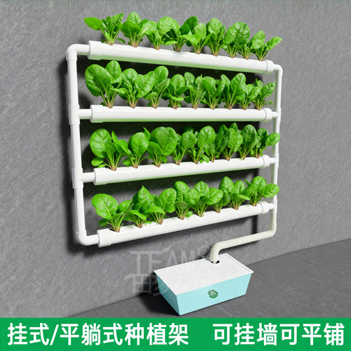 壁挂式无土栽培水培种植神器