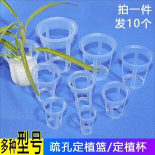 10个新款大孔定植篮 无土栽培蔬菜加深水耕定植篮 水培固根器