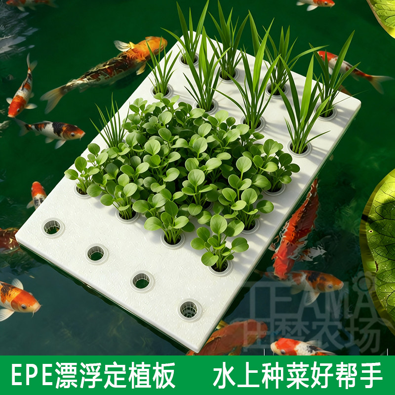 水培蔬菜带孔漂浮定植板水上种菜草莓发泡板鱼塘温室无土栽培设备