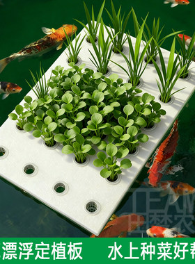 水上种菜漂浮定植板无土栽培种菜