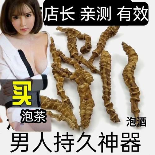 云南虫草参地参中药材泡酒泡水喝