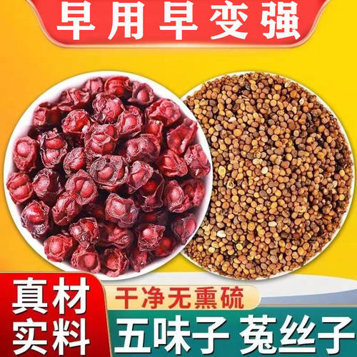 五味子菟丝子中药北五味子枸杞子