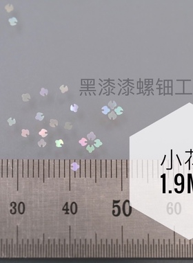 螺钿漆器黑漆漆装饰原贝切