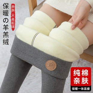 一体东北特厚保暖裤 羊羔绒打底裤 大码 加绒加厚高腰棉裤 女外穿冬季