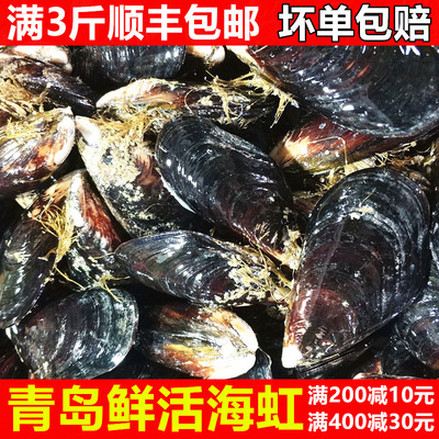 海虹鲜活青口贝新鲜海鲜水产淡菜贻贝500g/份顺丰包邮