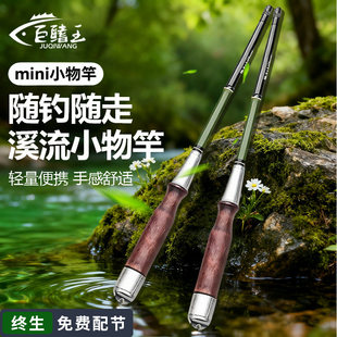 小物竿儿童鱼竿套装短节便携款溪流竿专用全套鳑鲏马口钢笔小手竿