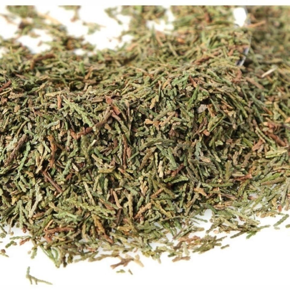 野生侧柏叶做洗发生发增发水苦丁茶桑叶乌黑发防脱50g1000g包邮