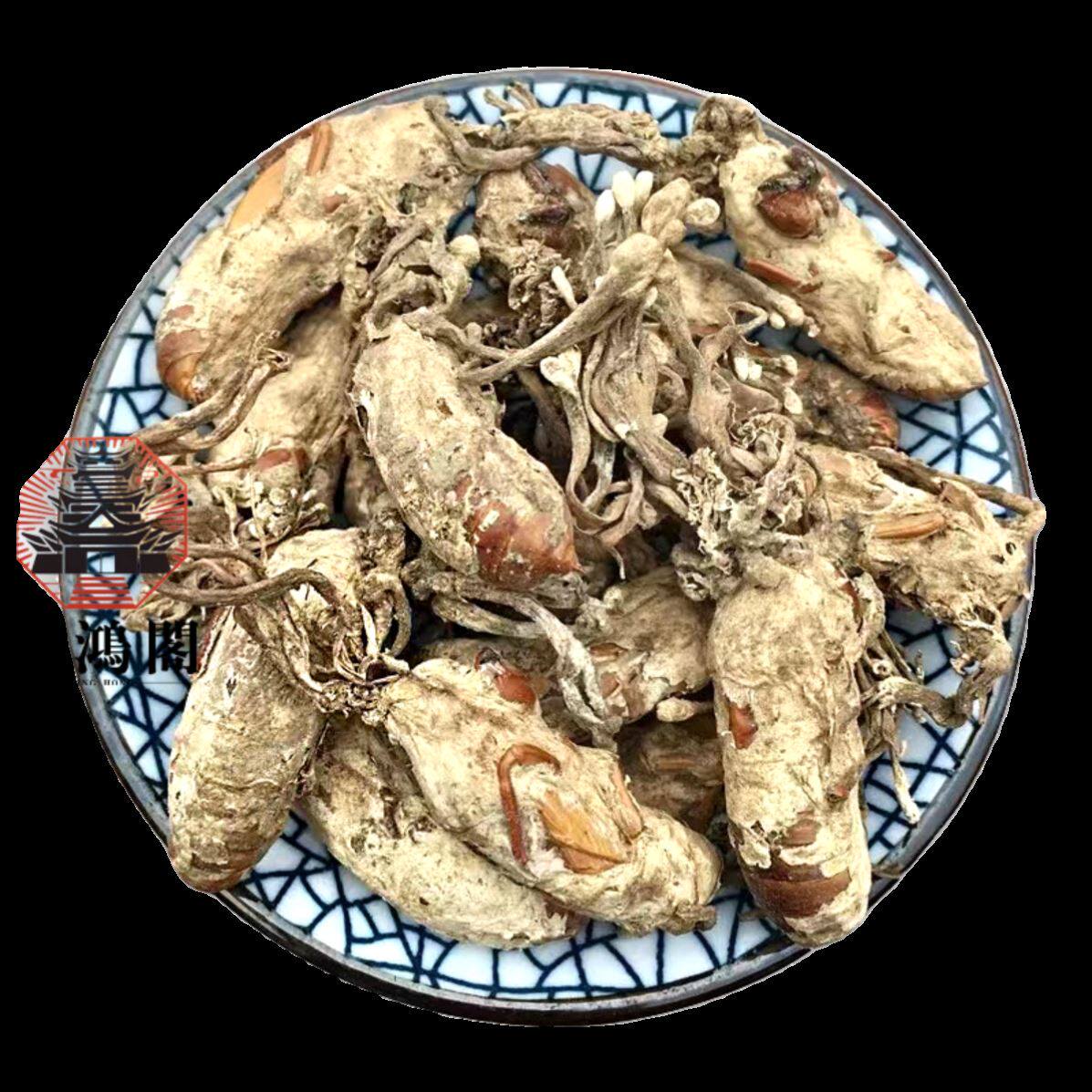 金蝉花中药材正品精选散装500g野生虫花蝉花大蝉草知了花虫草花粉