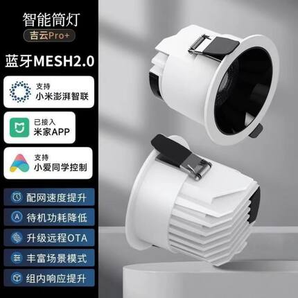 成都现货已接入米家蓝牙APP控制可调亮度调色温语音智能控制12瓦