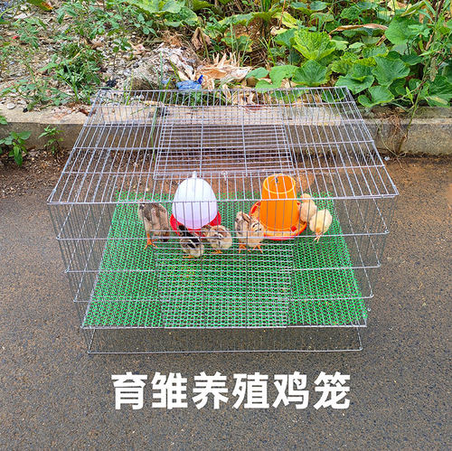加密防鼠小鸡苗笼子镀锌养殖笼