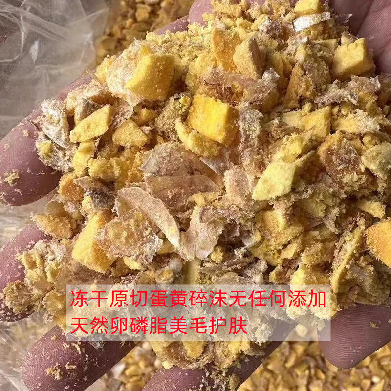 拌粮冻干蛋黄碎沫天然卵磷脂美毛亮毛护肤营养,宠物/宠物食品及用品,猫冻干零食,淘宝优惠券,粉丝福利购,淘宝优惠卷