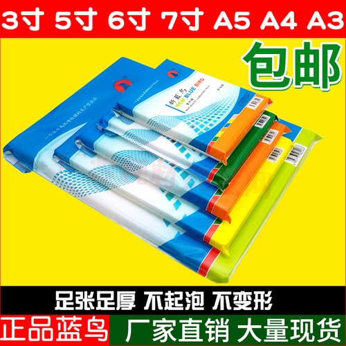 塑封膜过塑膜新蓝鸟正品相片8C
