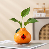 创意陶瓷小花瓶水培植物绿萝铜钱草鲜花插花器皿客厅桌面装 饰摆件