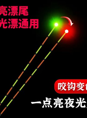 单点亮夜光漂漂通用咬钩变色漂尾灯led高亮硬尾一点亮电子漂尾