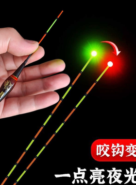 点亮变色纳米浮漂硬尾日夜两用