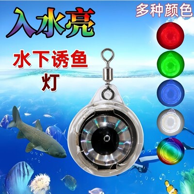 led钓鱼灯七彩诱鱼灯带鱼