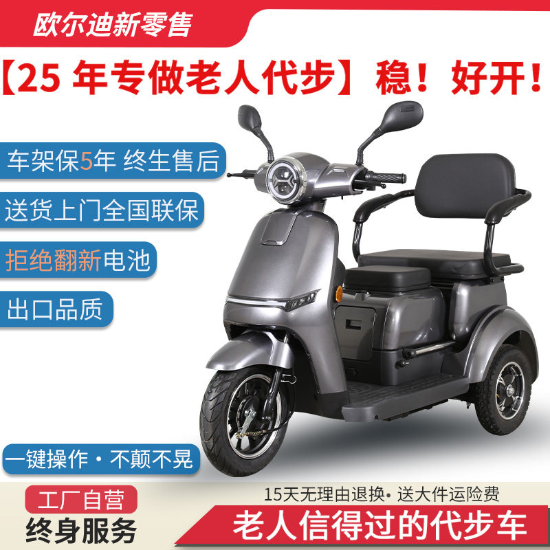 新款休闲欧尔迪家庭代步车电动助力多功能款三人用冬日旅行代步车