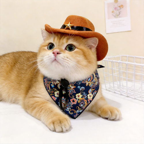 猫咪牛仔帽宠物头饰品西部牛仔风拍照狗狗小型犬头盔可爱宠物帽子