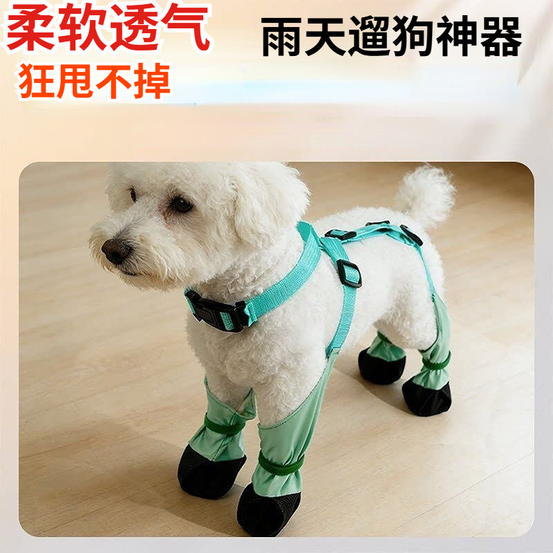 狗狗鞋子夏雨鞋软底甩不掉小型犬遛弯比熊雨靴柯基宠物外出缠脚带