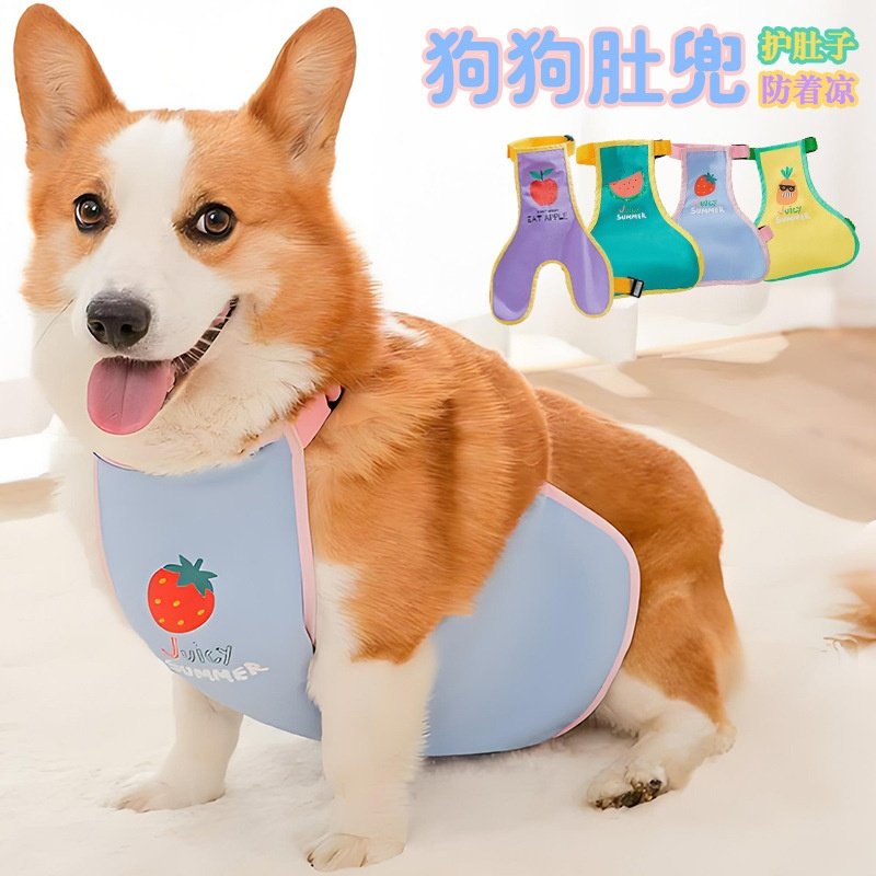 狗狗护肚子防着凉衣服宠物肚兜柯基犬夏秋冬款保暖法斗防水赛时味,宠物/宠物食品及用品,狗宠物服装/雨衣,淘宝优惠券,粉丝福利购,淘宝优惠卷