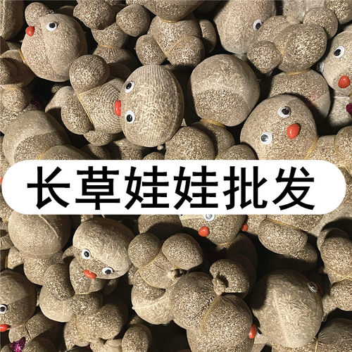 10个19.9元长草娃娃桌面绿植盆栽