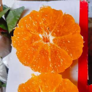 柑橘皇后甘平的升级版明日见柑橘阿蜜达纯甜应季水果非甘平