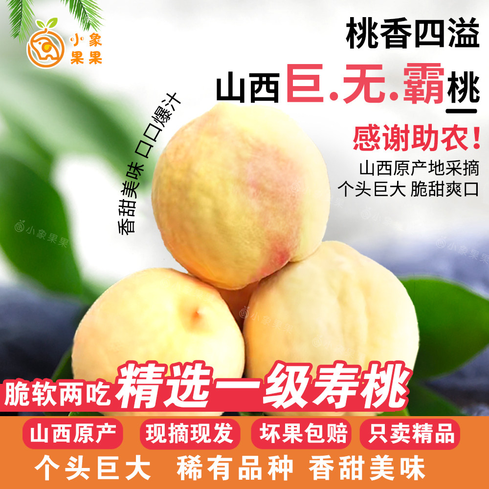 山西特产巨无霸大寿桃脆甜桃子