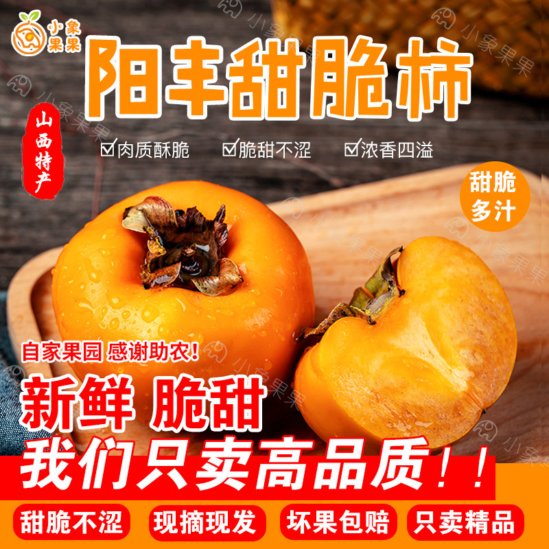 5A级精品山西阳丰脆柿新鲜水果甜柿无籽脆甜巧克力硬柿子精挑大果