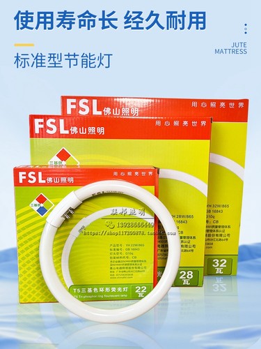 t5环形灯管吸顶灯环形管节能FSL