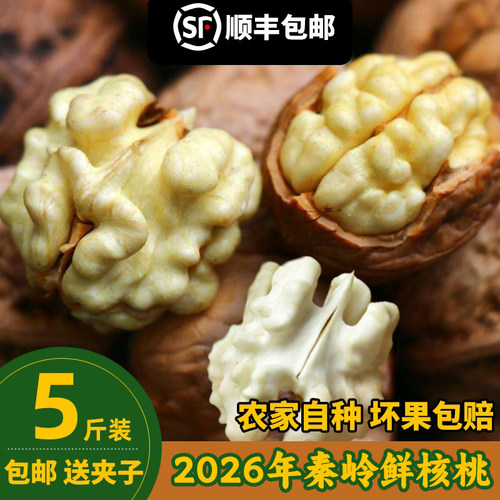 2026陕西新鲜湿核桃去青皮大果