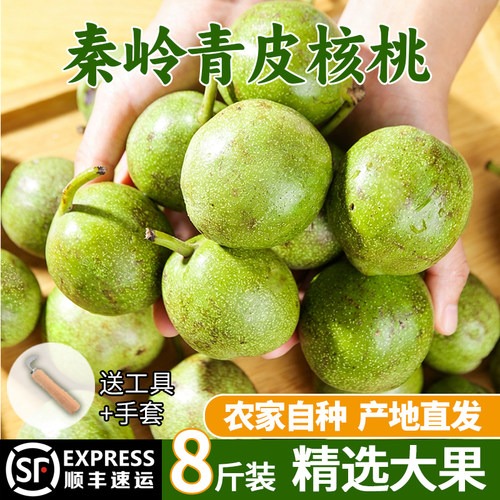 2026年陕西秦岭新鲜青皮核桃顺丰