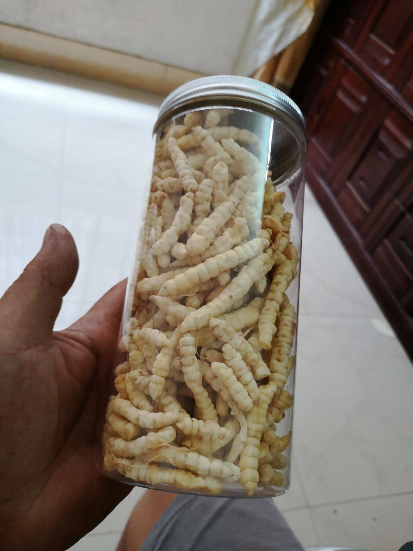 地蚕 草食蚕 草石蚕 土冬虫草 白虫草    500克
