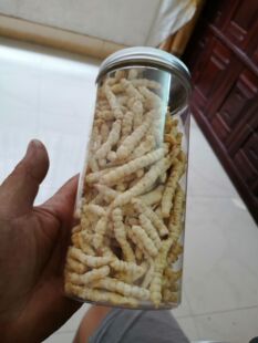 地蚕 草食蚕 草石蚕 土冬虫草 白虫草 500克