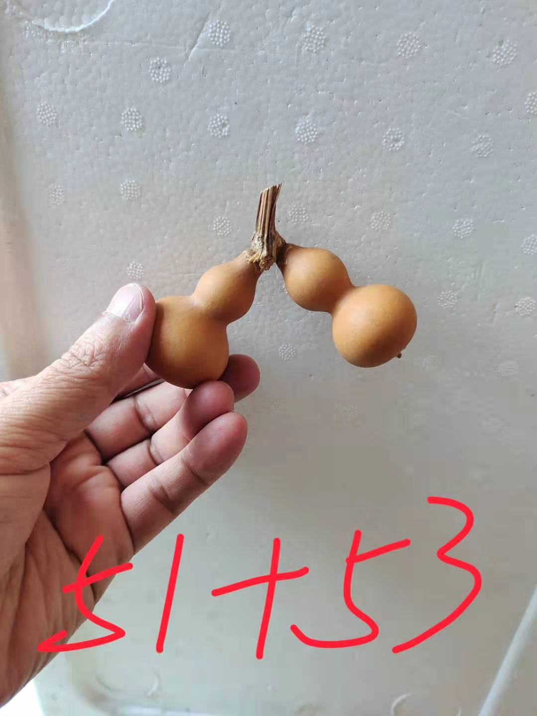 手把连枝摆件一物一图文玩