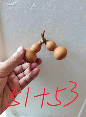 手把连枝摆件一物一图文玩
