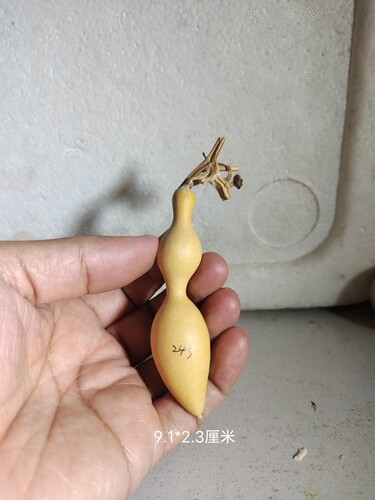 天然手把文玩蚂蚁肚葫芦