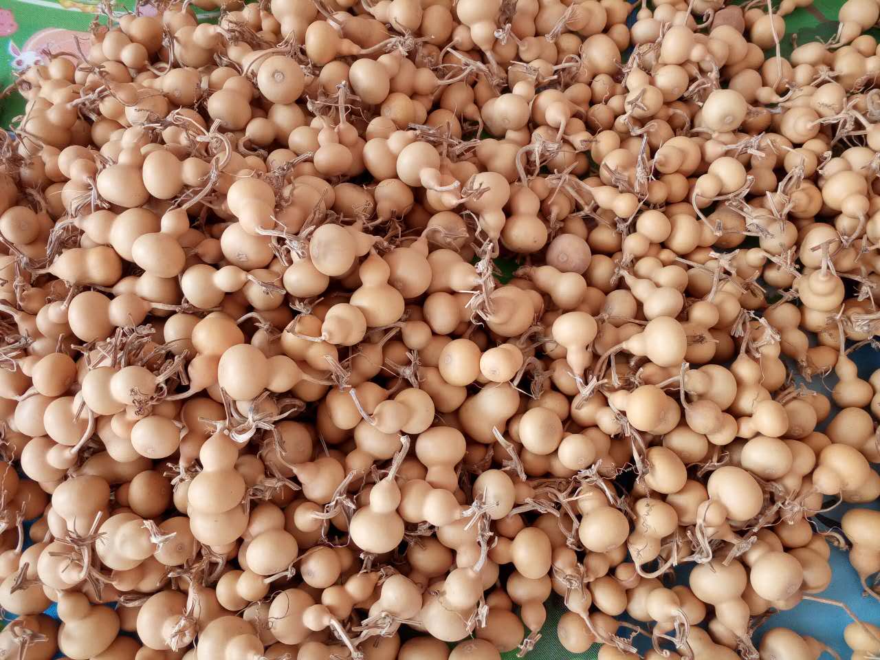 天然手把文玩铁包金葫芦