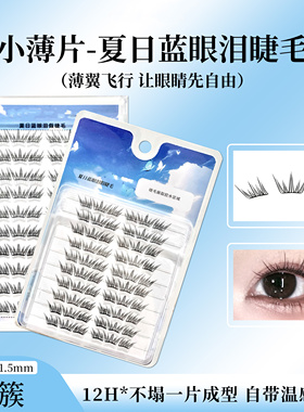 【小薄片】夏日蓝眼泪假睫毛梦幻海洋清新单簇卷翘撞色分段式初学