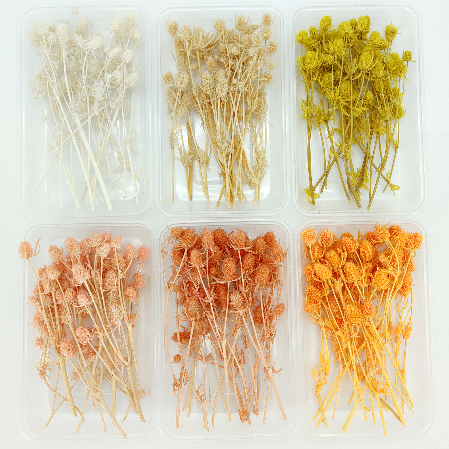 diy干花小刺芹大全盒装永生花天然幸运果许愿瓶材料包迷你小菠萝