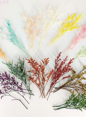 永生花情人草干花贺卡手工贴画