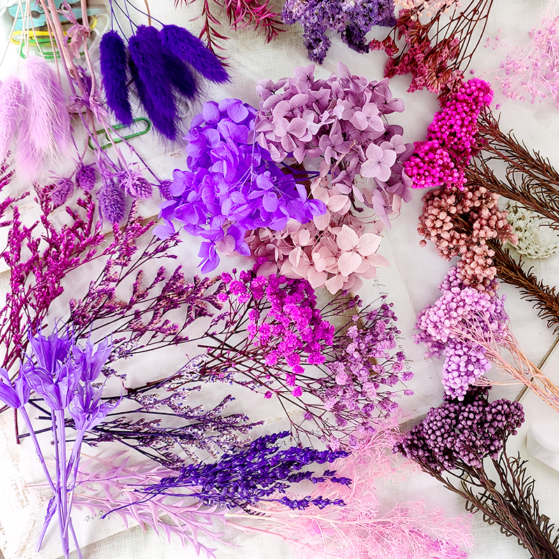 DIY紫色系干花大全浮游瓶永生花贺卡相框植物画精油香水装饰花材图片