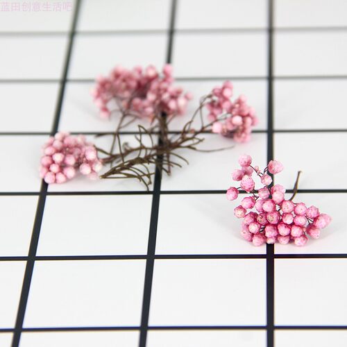 小米花质量怎么样 小米花口碑怎么样 小麦优选