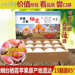 山东烟台苹果 栖霞红富士苹果 礼盒装 85#果新鲜苹果水果特价包邮