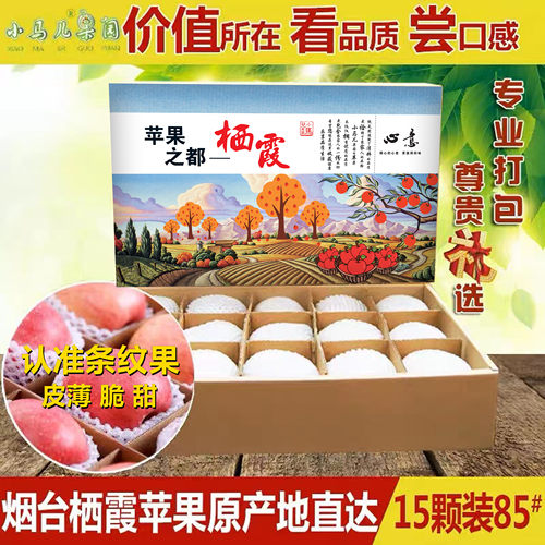 山东烟台栖霞苹果85#红富士苹果