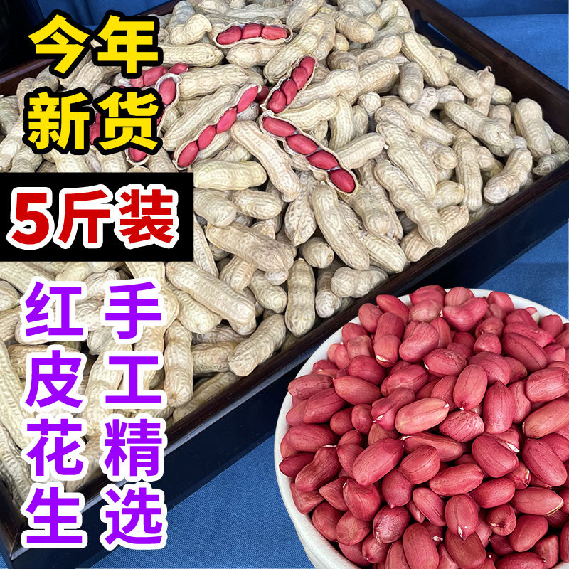 新货四粒红皮花生新鲜带壳花生米东北特产原味晒干生花生果精选