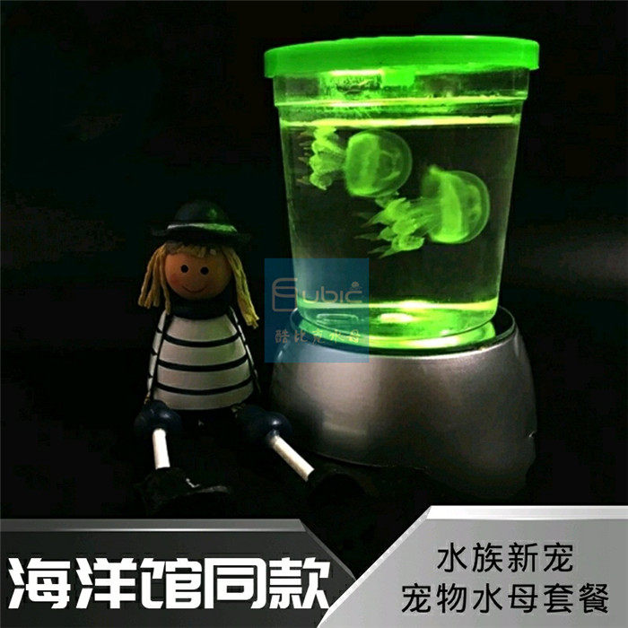 抖音小红薯超火宠物水母摆摊