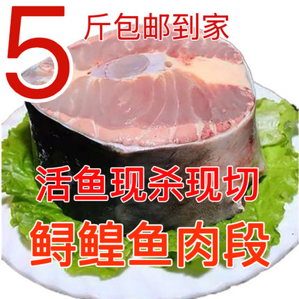 鲟鳇鱼肉段鲟鱼肉段东北七里浮子鱼肉段活鱼现杀现切冷冻发货包邮