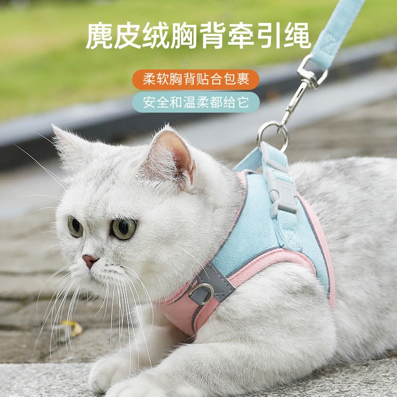 狗狗牵引绳防挣脱宠物胸背带小型犬泰迪博美猫咪牵引绳幼犬遛狗绳