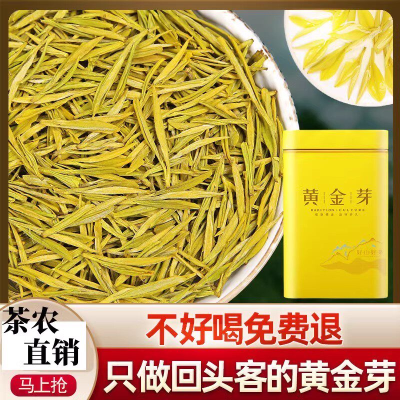 精品2026年新茶明前安吉黄金芽白茶上等茶叶嫩芽特级绿茶礼盒罐装